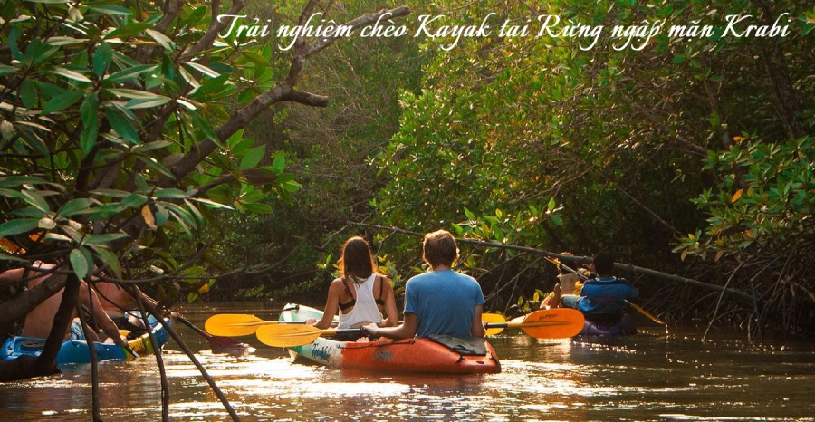 Tour trải nghiệm chèo Kayak tại Rừng ngập mặn Krabi
