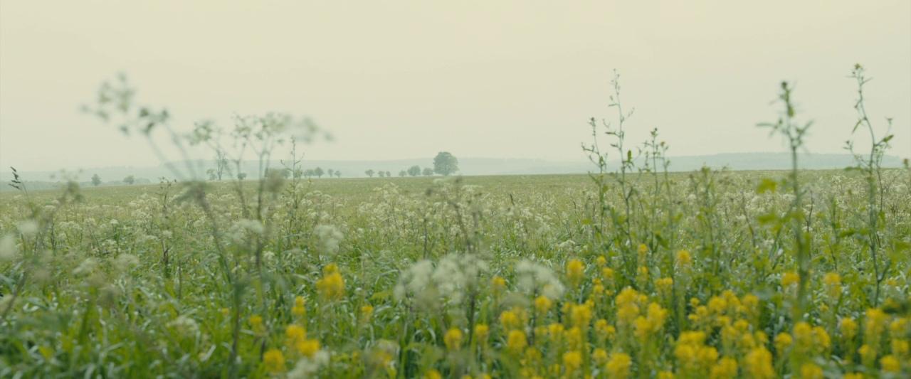 Cinematic still
