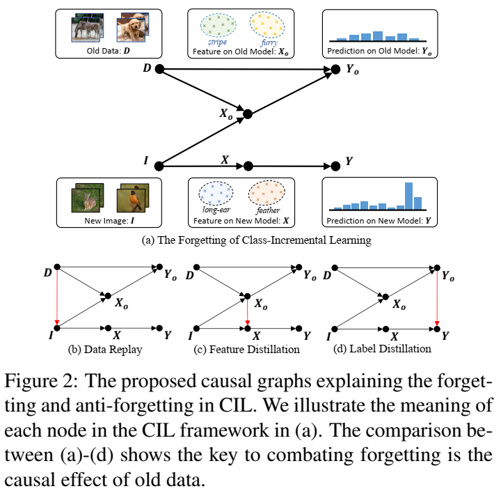 【论文阅读笔记】Distiling Causal Effect of Data in Class-Incremental Learning