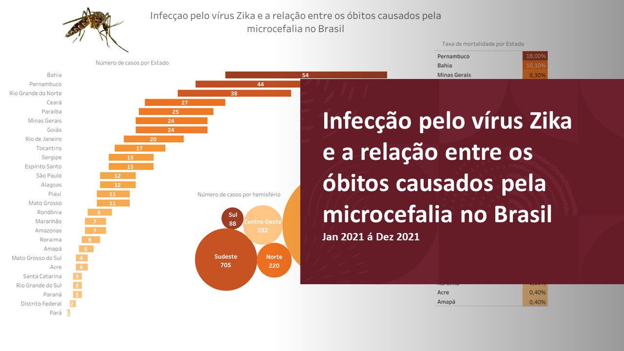 Infecção pelo vírus Zika e a relação entre os óbitos causados pela microcefalia no Brasil