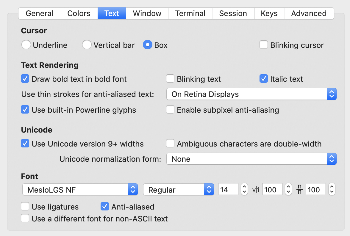 Text section of iTerm settings