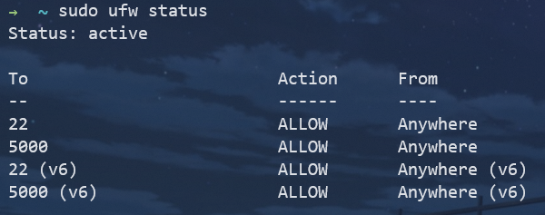 sudo ufw status