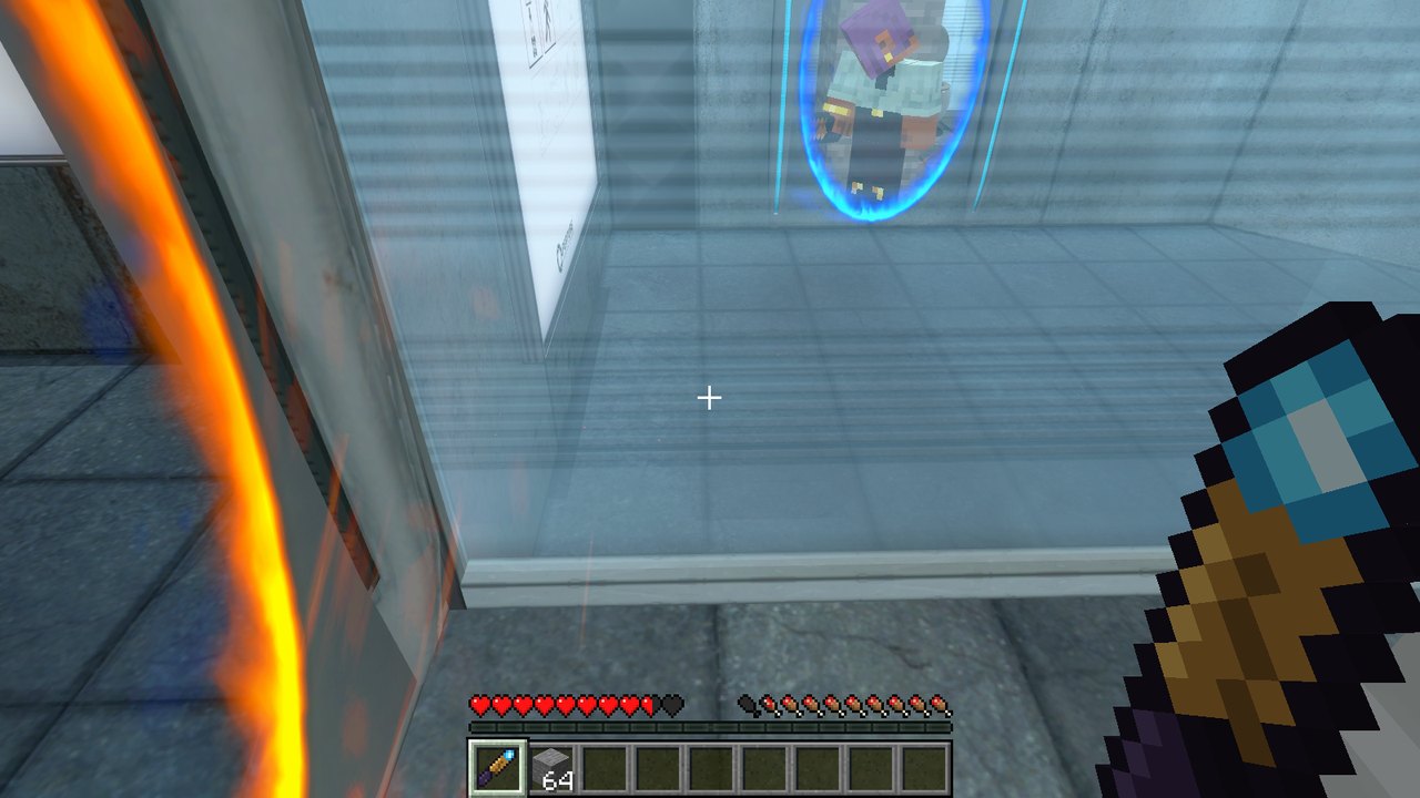 Steve seen through a blue portal