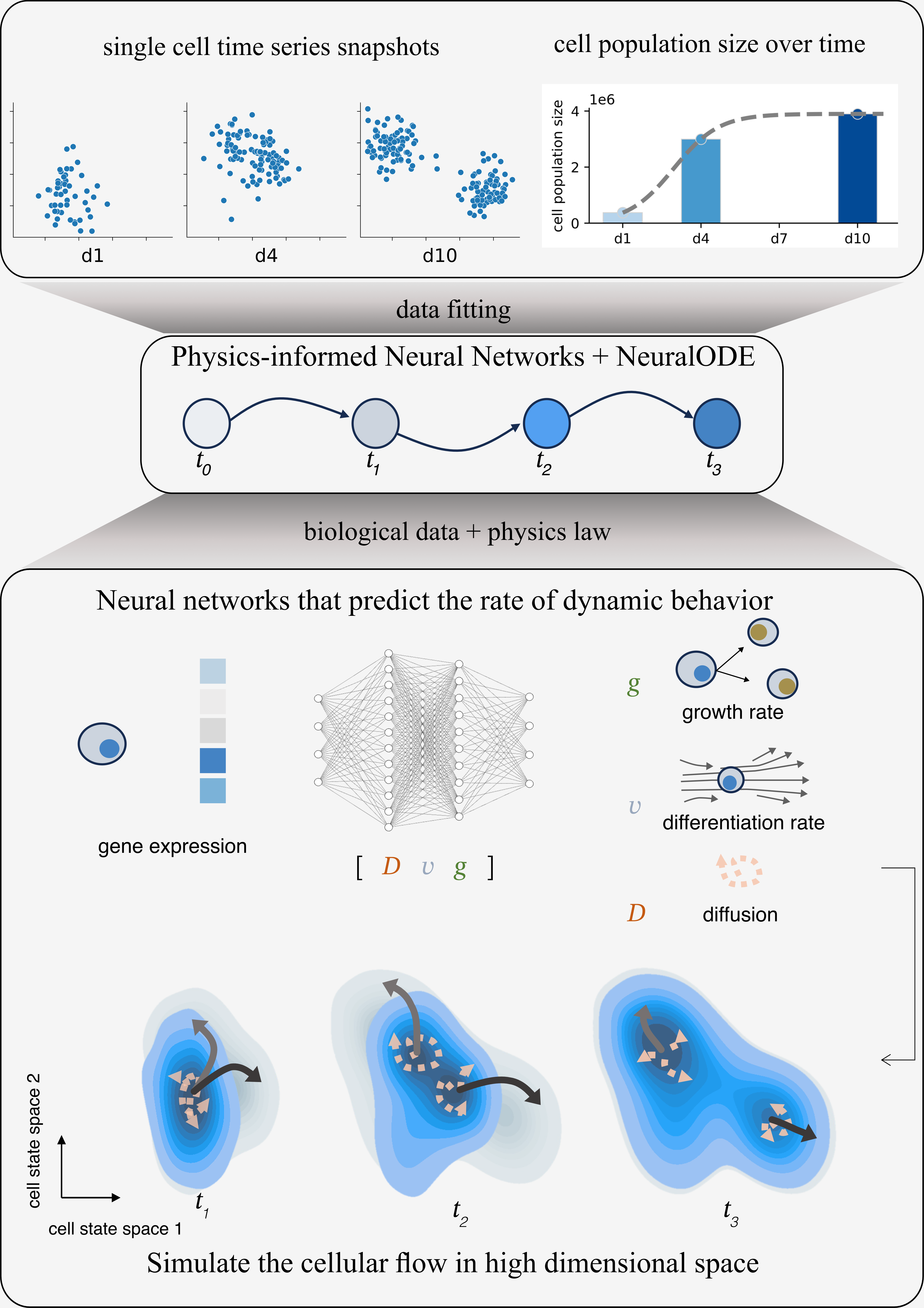 https://raw.githubusercontent.com/Gottgens-lab/pseudodynamics_plus/main/.github/images/model_sim.png
