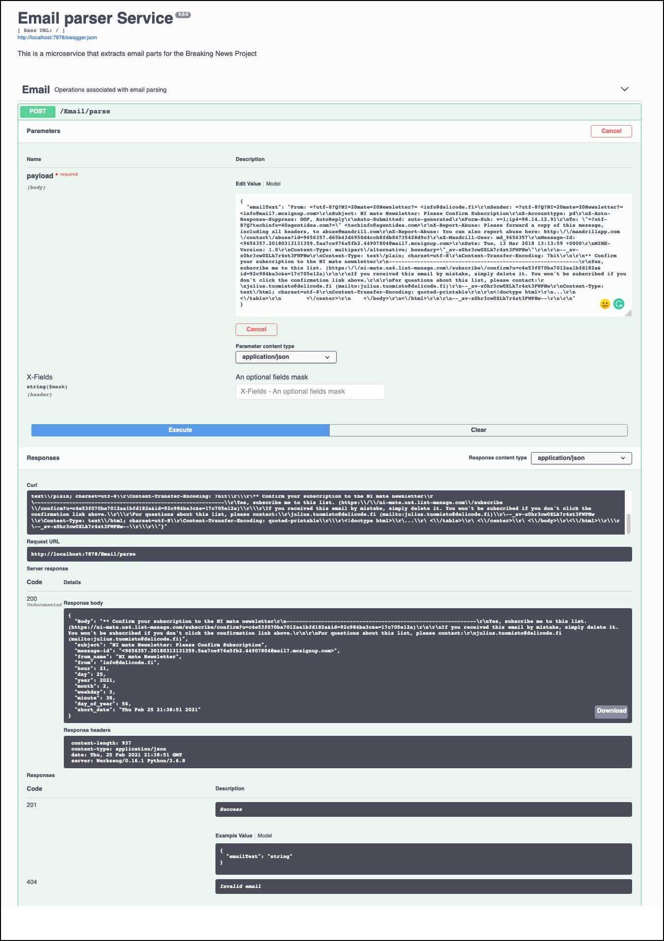 expected browser swagger