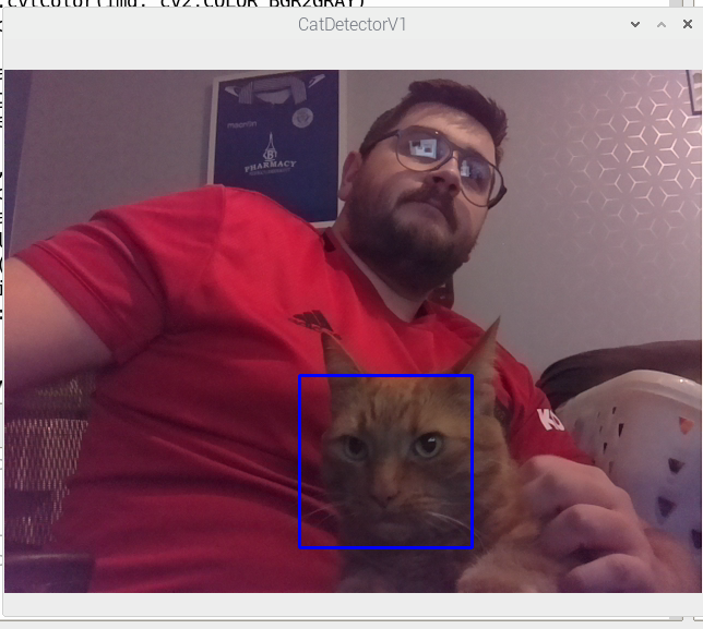 GitHub - GrantHair5/CatDetectorPy: Python with OpenCV cat detector ...