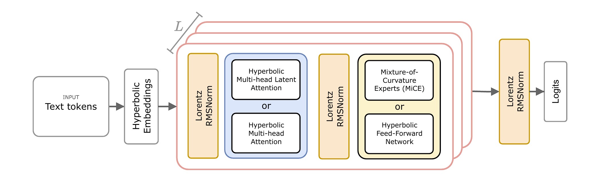 Model Architecture