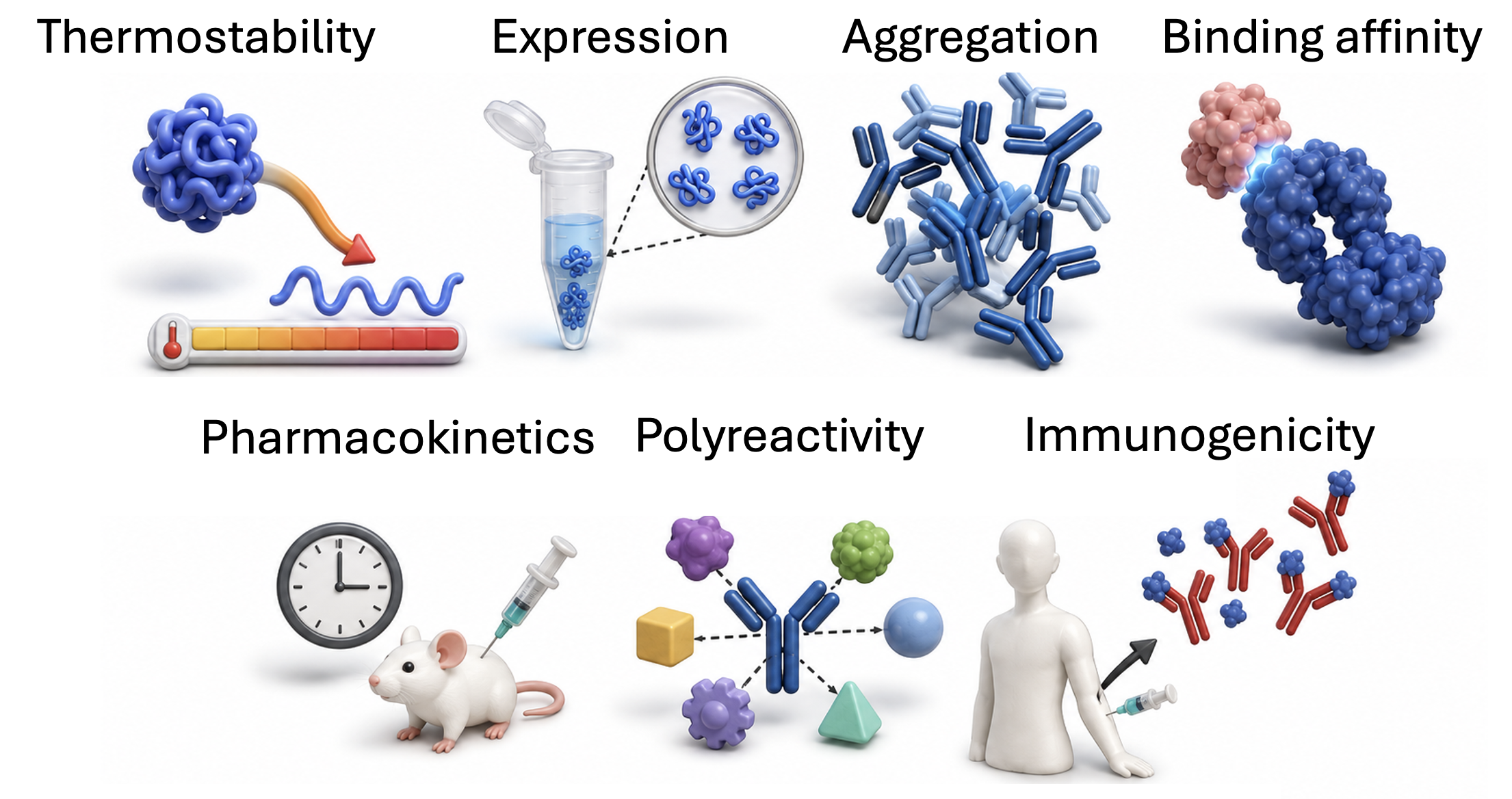 Biophysical Properties