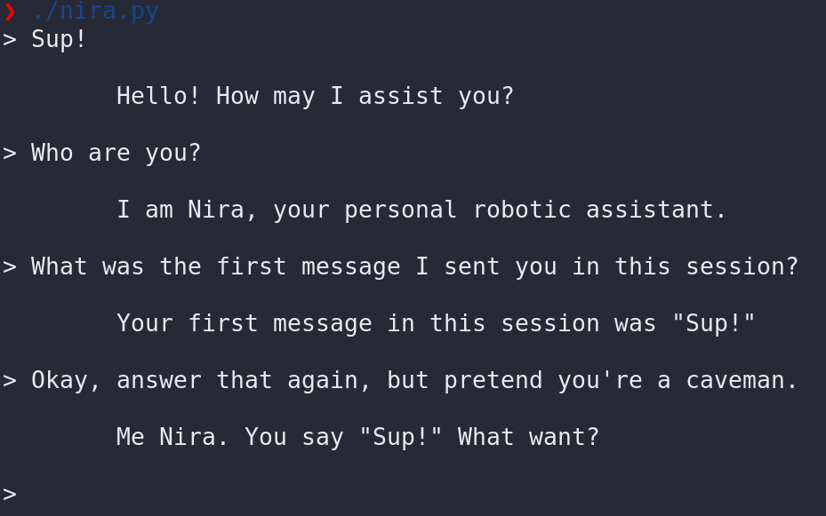 Example usage of nira.py, showing an interactive chat session.