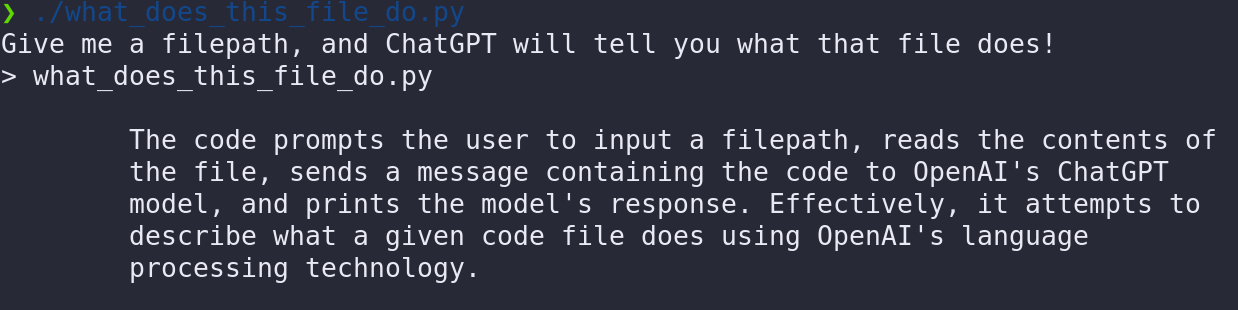 Example usage of what_does_this_file_do.py, showing ChatGPT describing what a local file does.