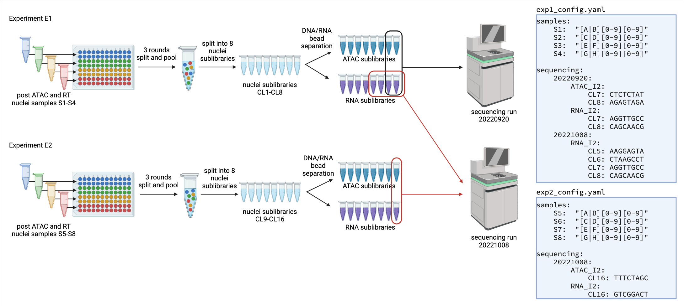 shareseq-vis