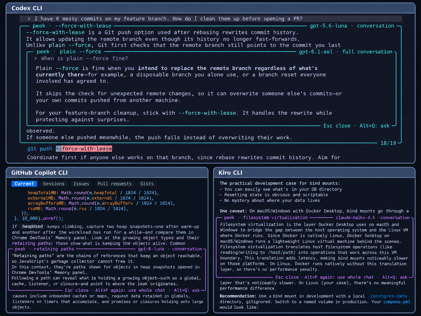 Codex CLI with a nested question, GitHub Copilot CLI and Kiro CLI with one explanation each