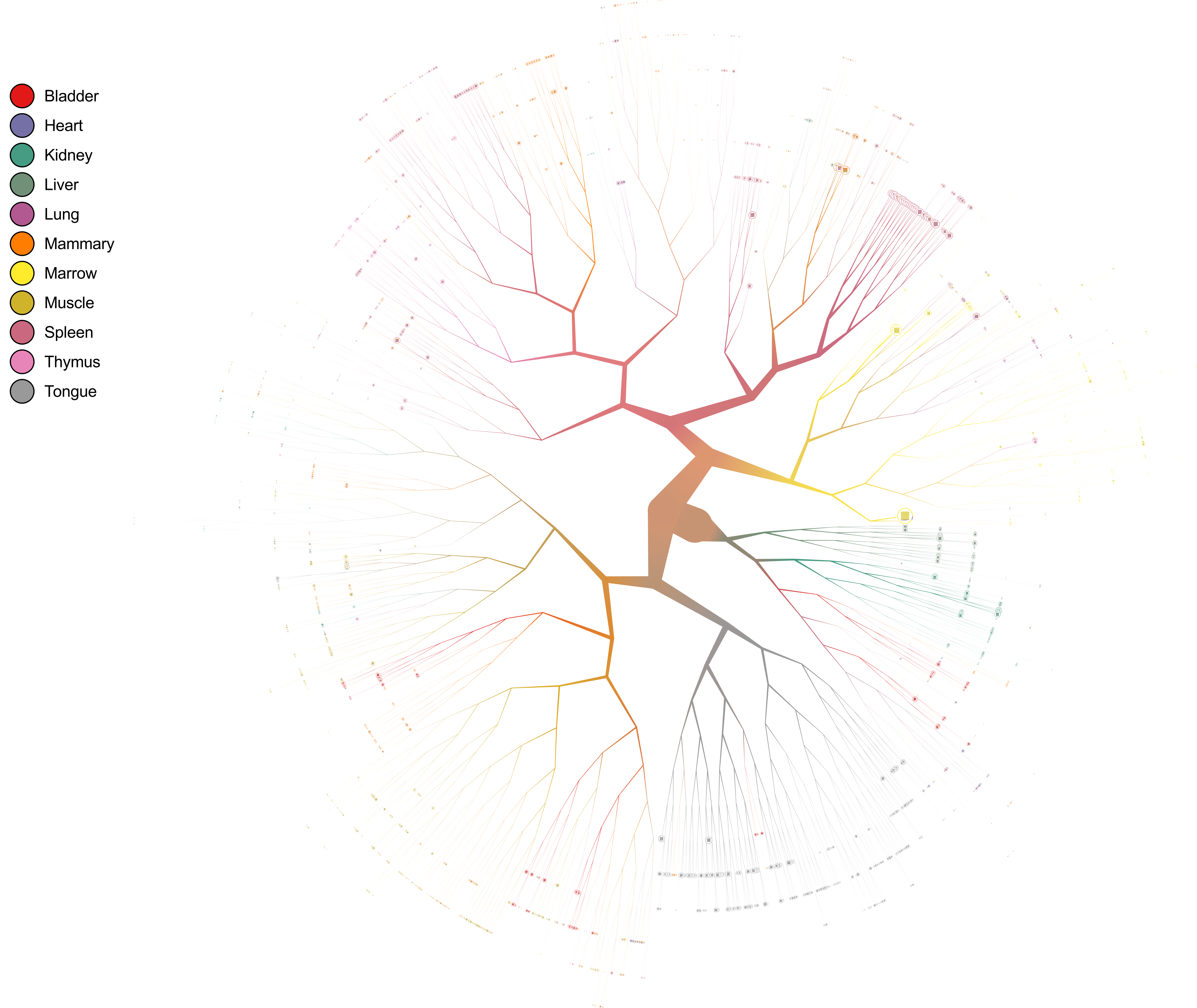 img/complete_default_tree.png