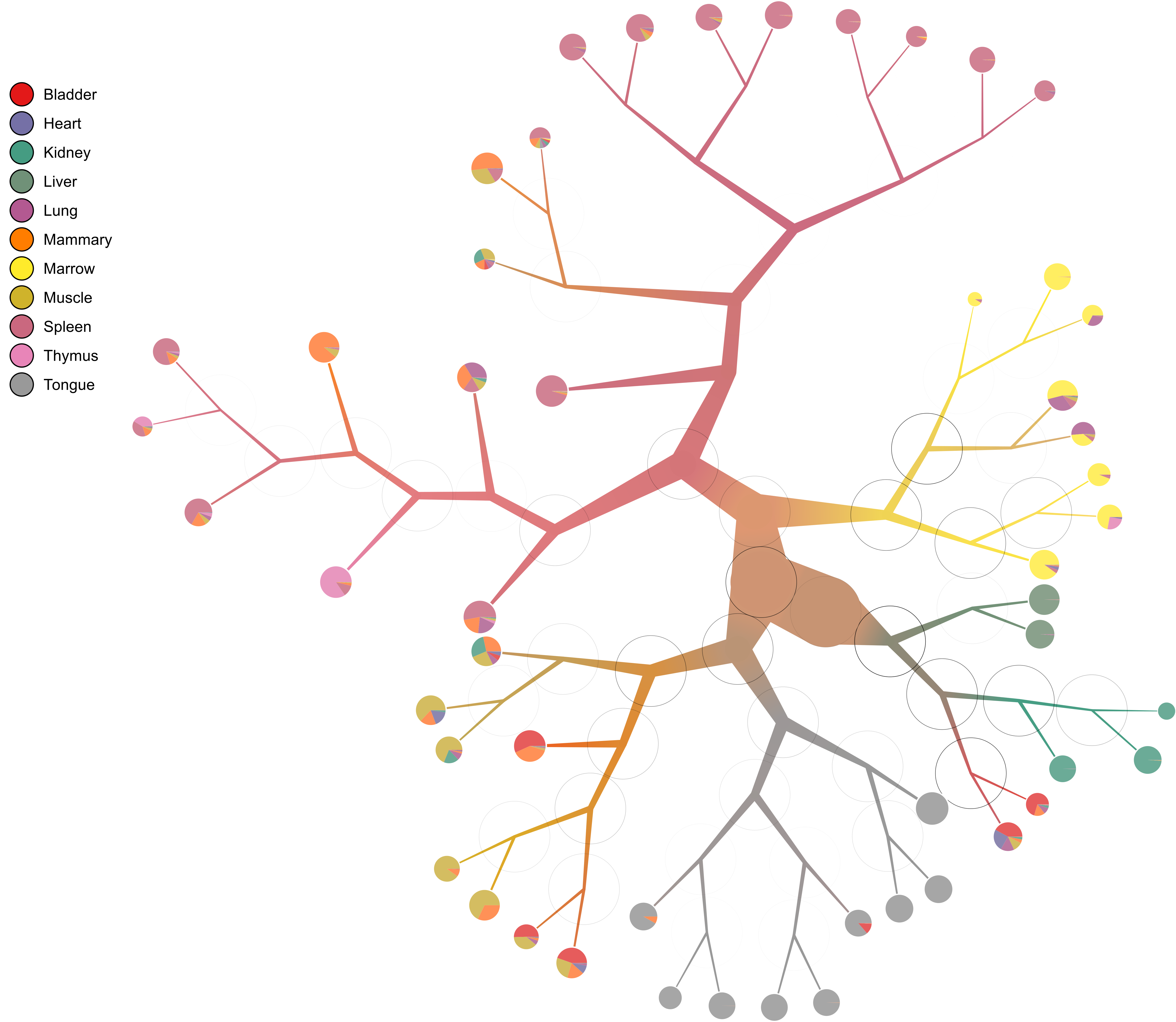 img/modularity_pruned_tree.png