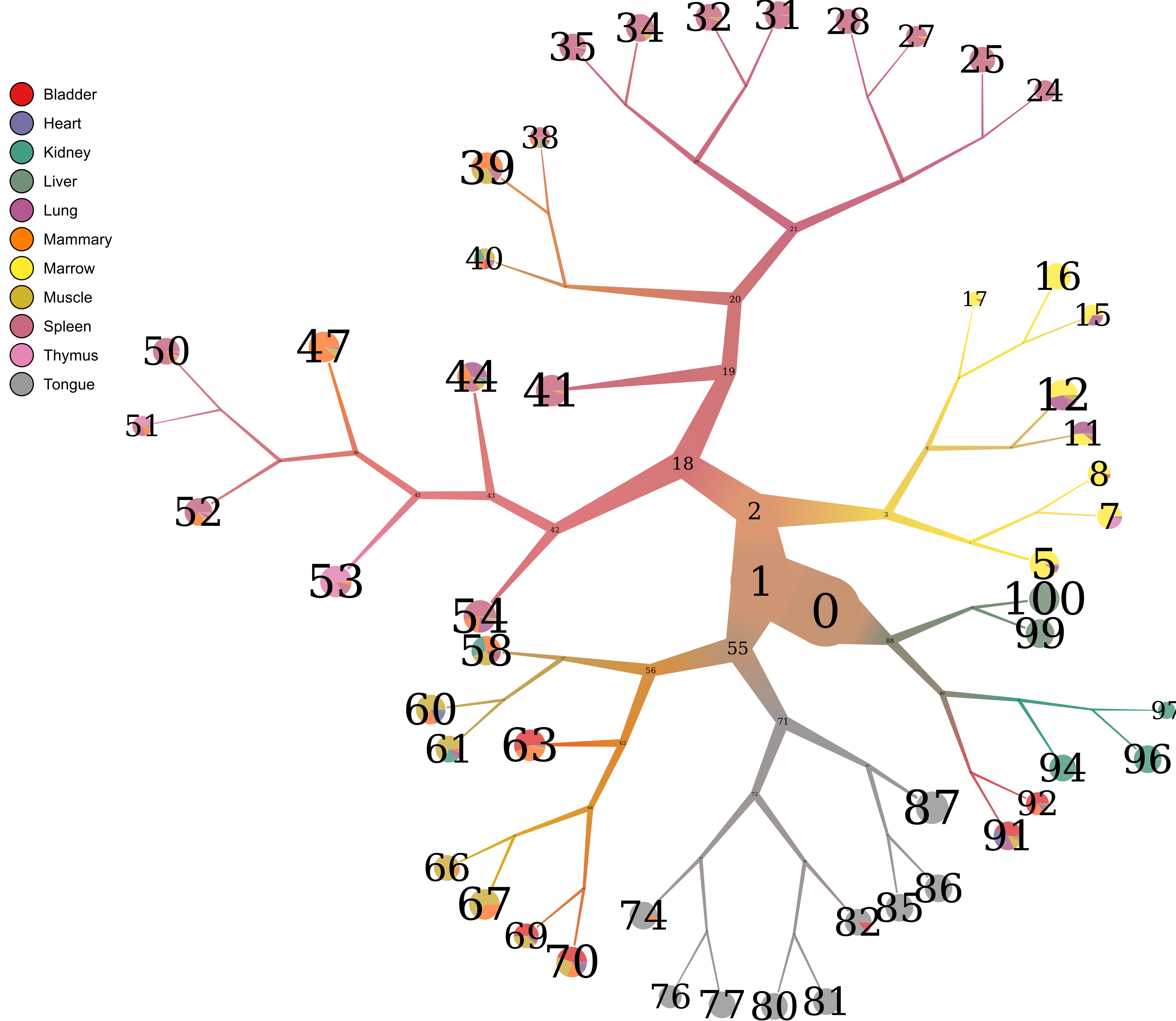 img/numbered_pruned_tree.png