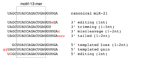 Example modifications bechmarked