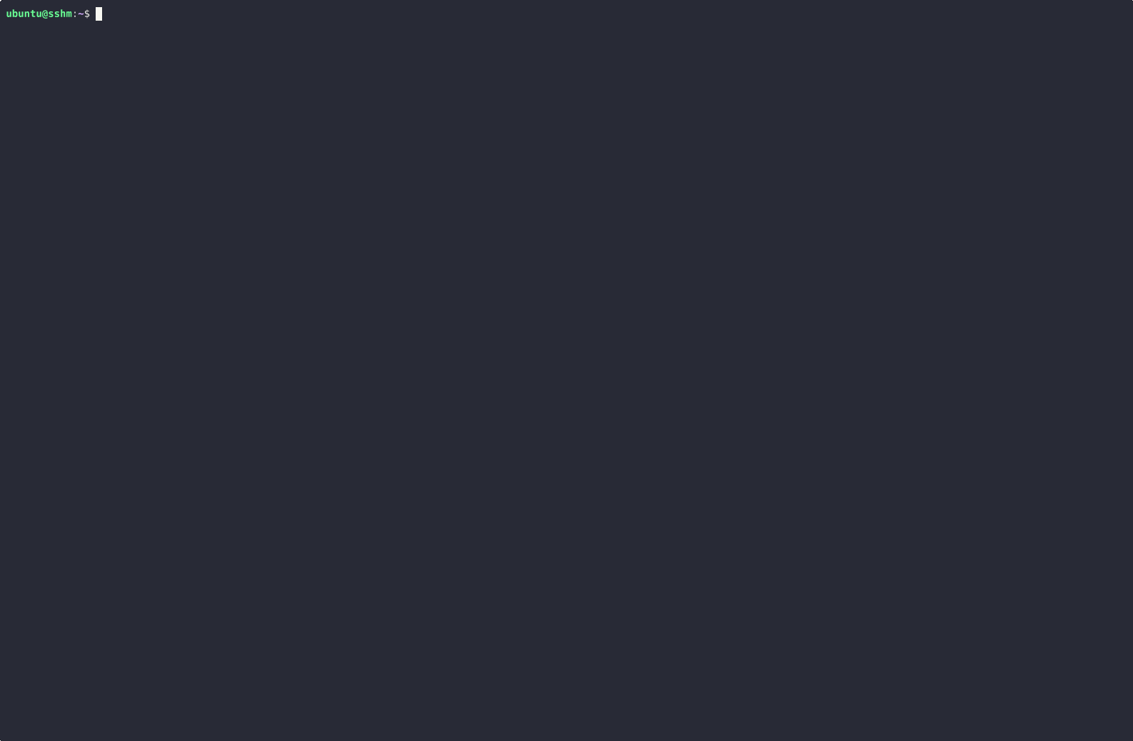 Demo SSHM Terminal