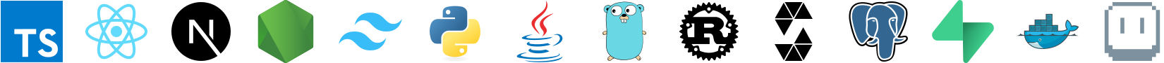 Tech stack: TypeScript, React, Next.js, Node.js, Tailwind, Python, Java, Go, Rust, Solidity, PostgreSQL, Supabase, Docker, Aseprite