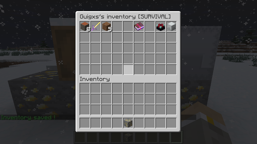 See player's inventory