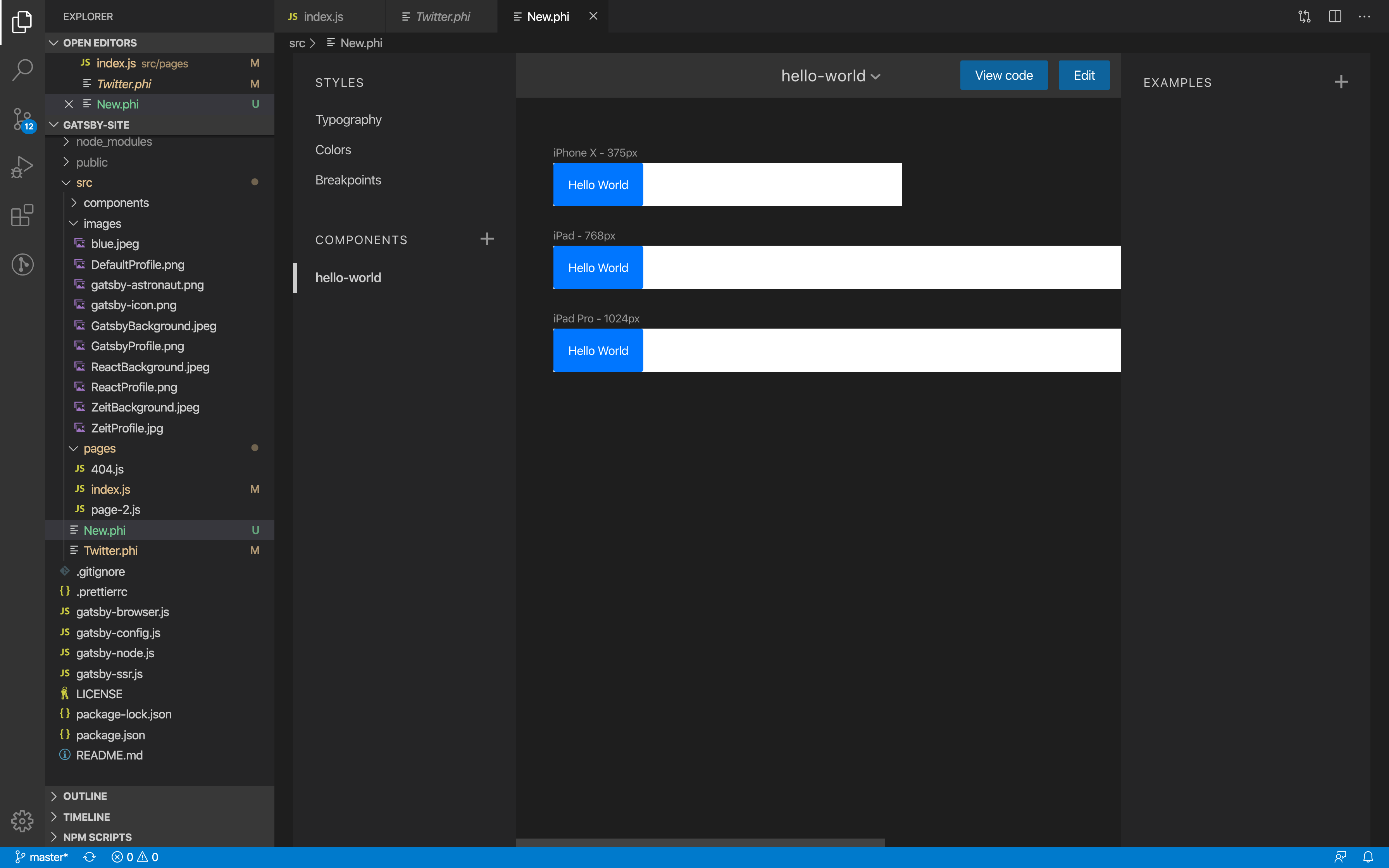 Phi Extension preview in vscode