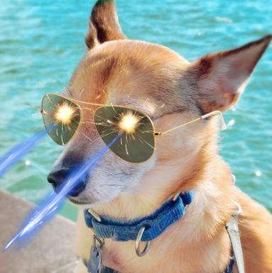 ./raster ../data/{dog,glasses,laser-beams,sparkles}.png should produce this image in composite.ppm.