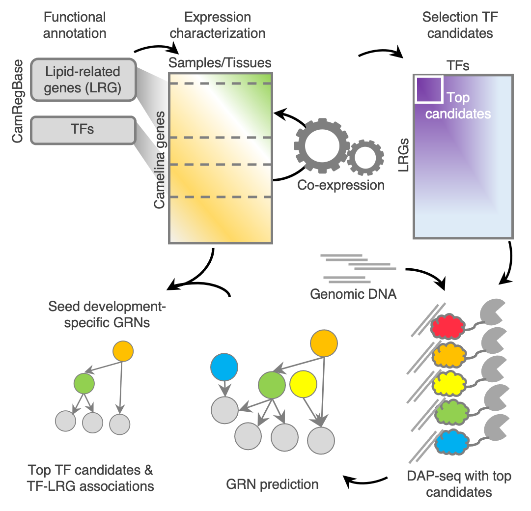 Graphical Abstract