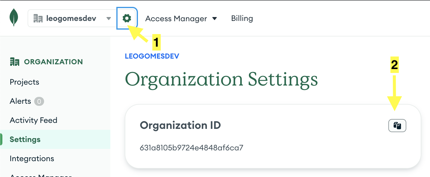 Instructions to copy organization id