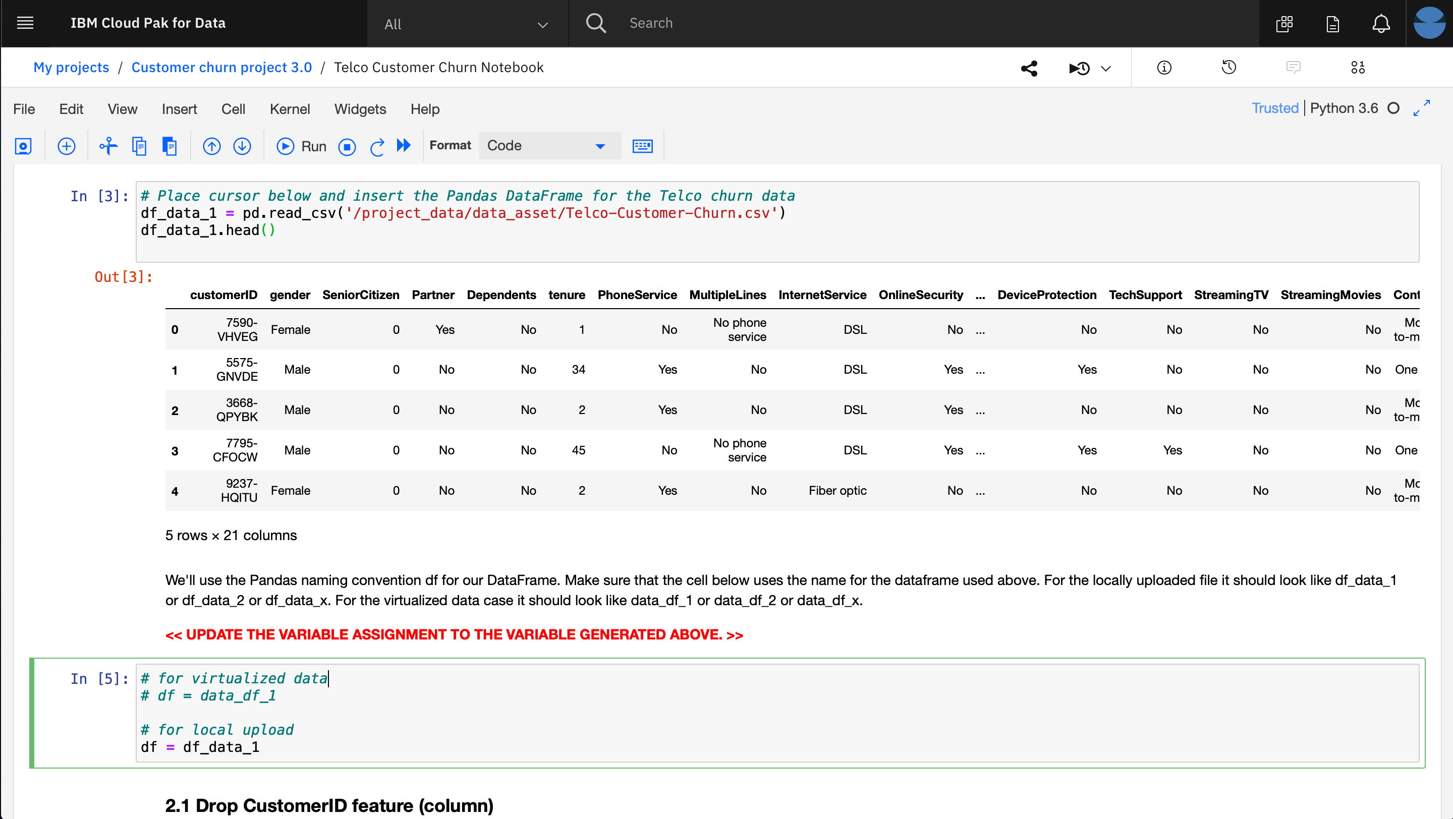 Generated code to handle Pandas DataFrame