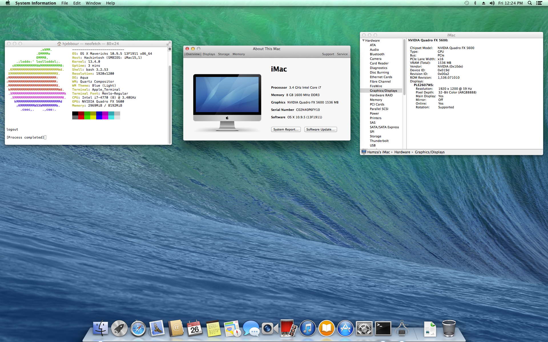 System Information & About This Mac