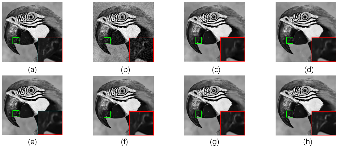 Fig3