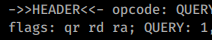 IPv6 - DNS Recursion DDoS: DNS Auditor checks (HackTricks tools)
