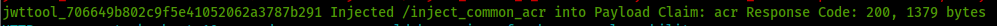 JWT Vulnerabilities (Json Web Tokens) - Quick Wins: If you are lucky the tool will find some case where the web application is incorrectly checking the JWT