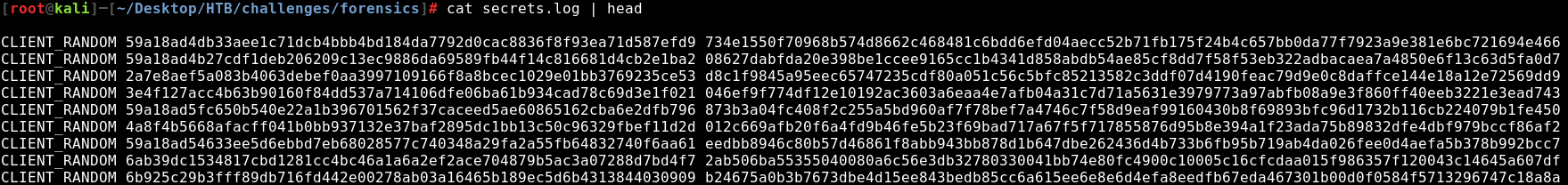 Decrypting https traffic with server private key - Decrypting https traffic with symmetric session keys: A file of shared keys will look like this