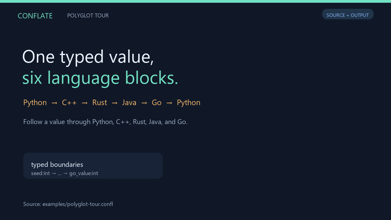 Python, C++, Rust, Java and Go exchanging a typed value