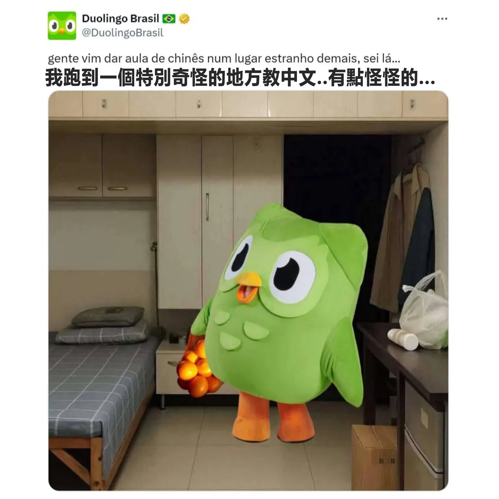 # 十一万星背后:很多人把它当成又一个终端助手(梗图来源:搞完君2.0 社区帖)