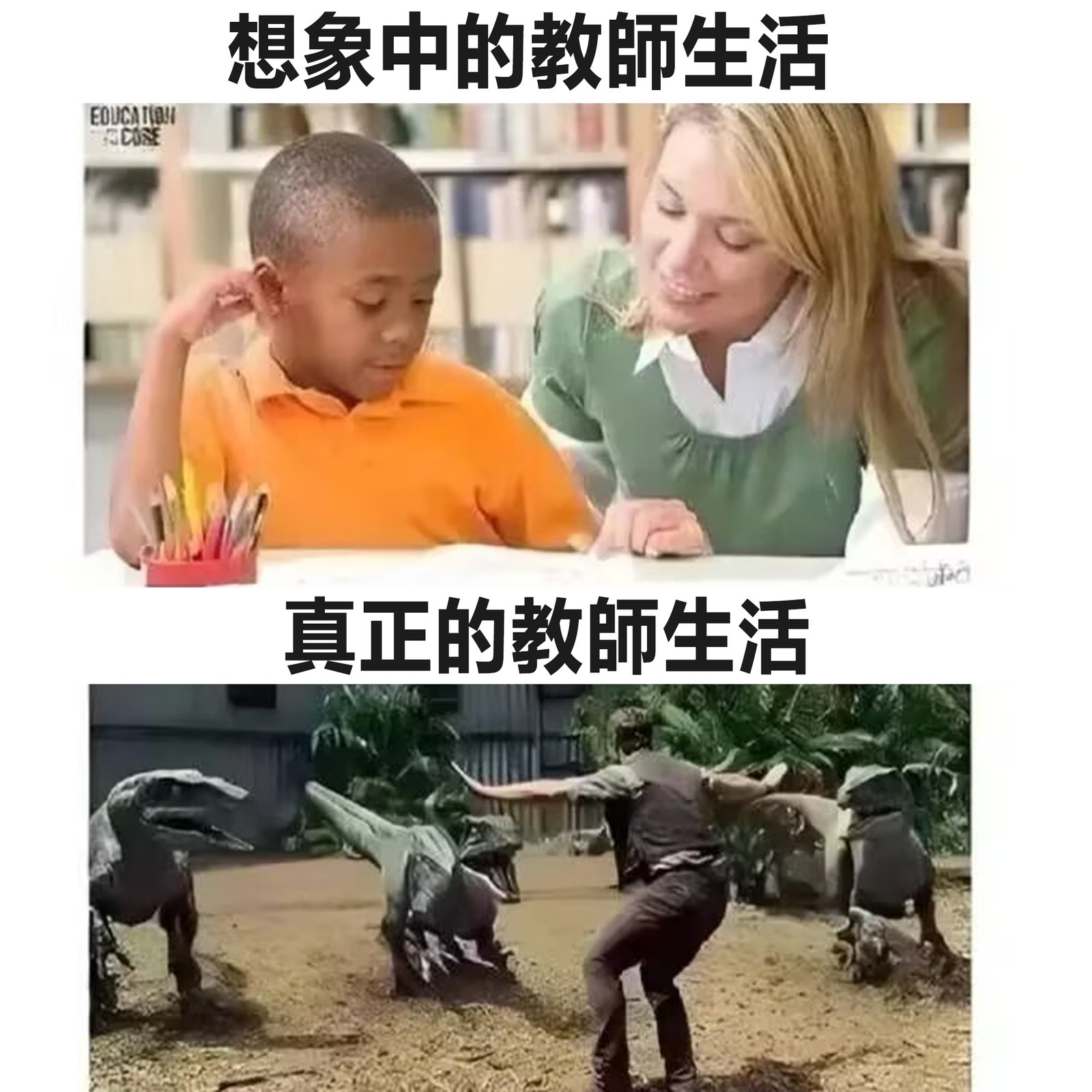 # 梗图来源：搞完君2.0 社区帖