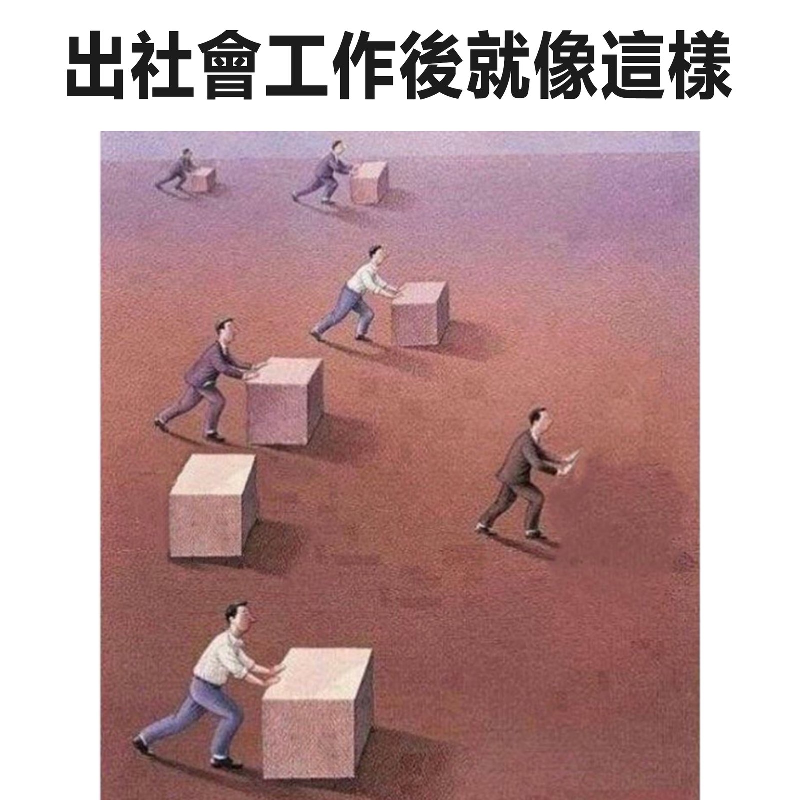 # 梗图来源:搞完君2.0 社区帖