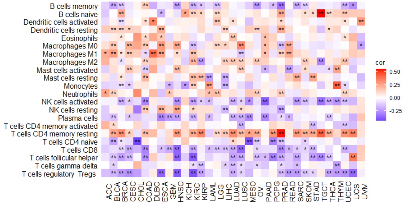 KLF7 and immune cell ratio correlation