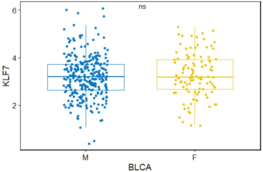 Gender grouped expression of KLF7 in BLCA