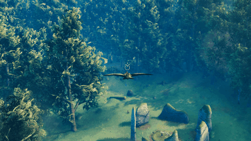 A crow flown over the forest