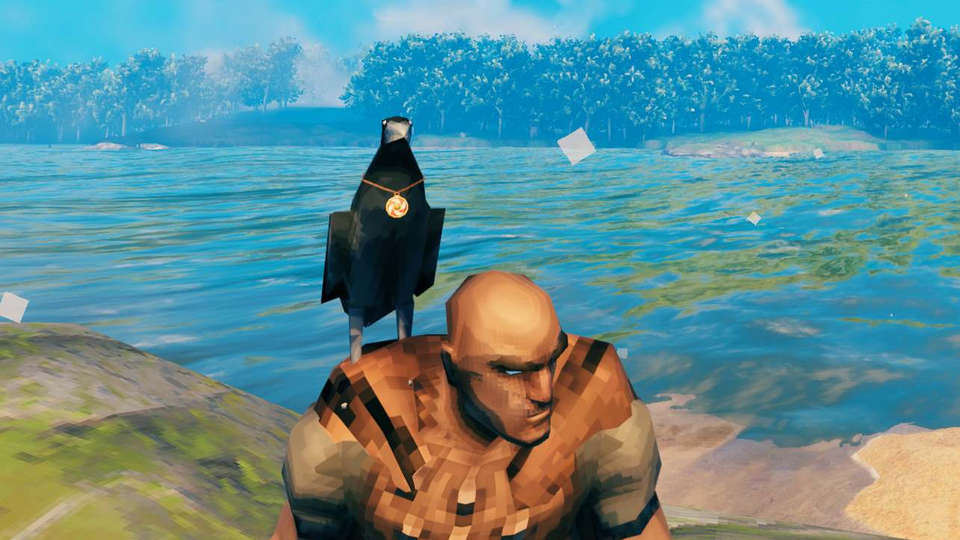 A crow with its charm