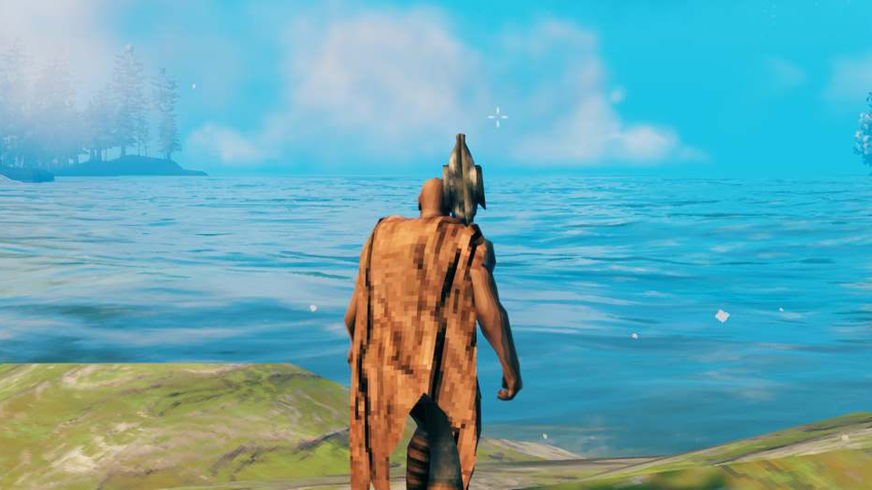 The bird on the shoulder