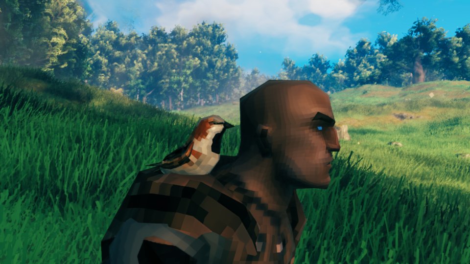 A sparrow on the shoulder