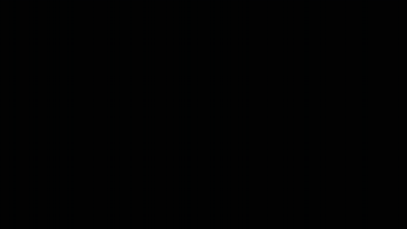 DSH IDE Workflow Demo