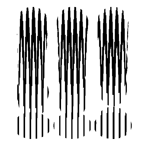 moire-back.png