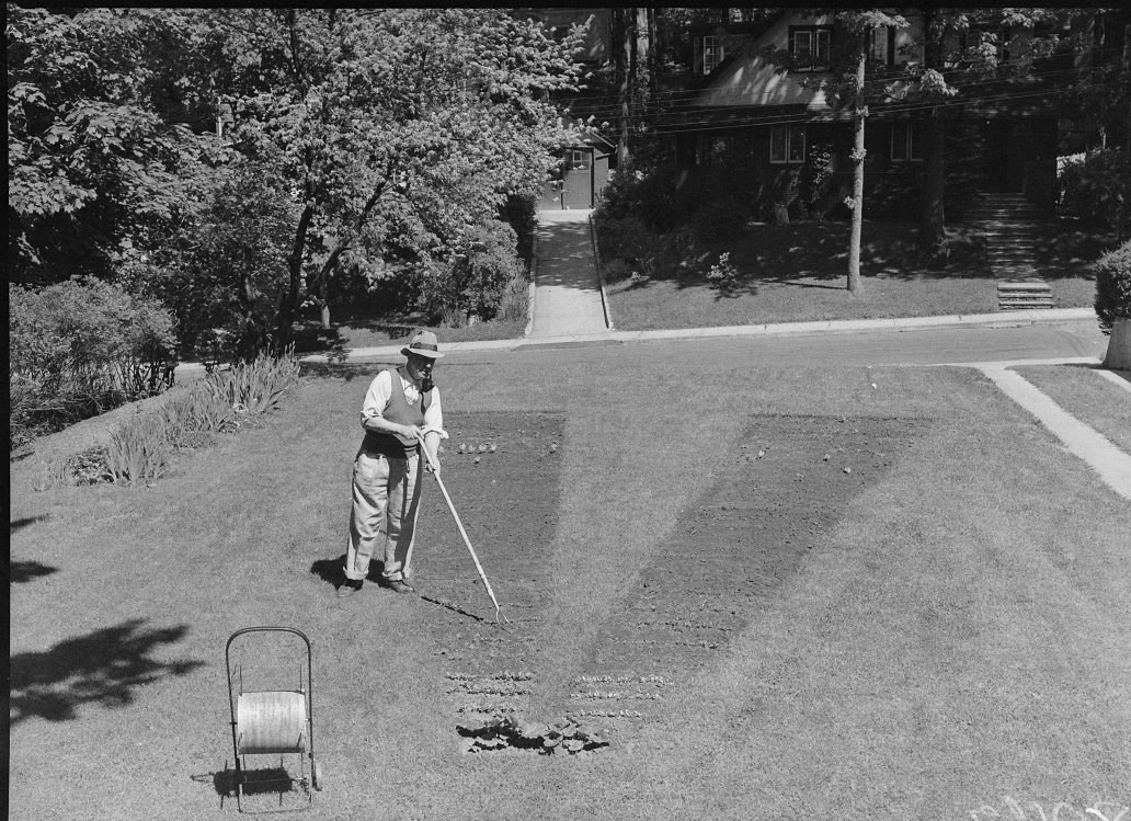 A.J. Denne tending a V-shaped victory garden at 15 Pine Crescent, Toronto, 5 June 1943.