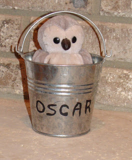 Owl in a bucket