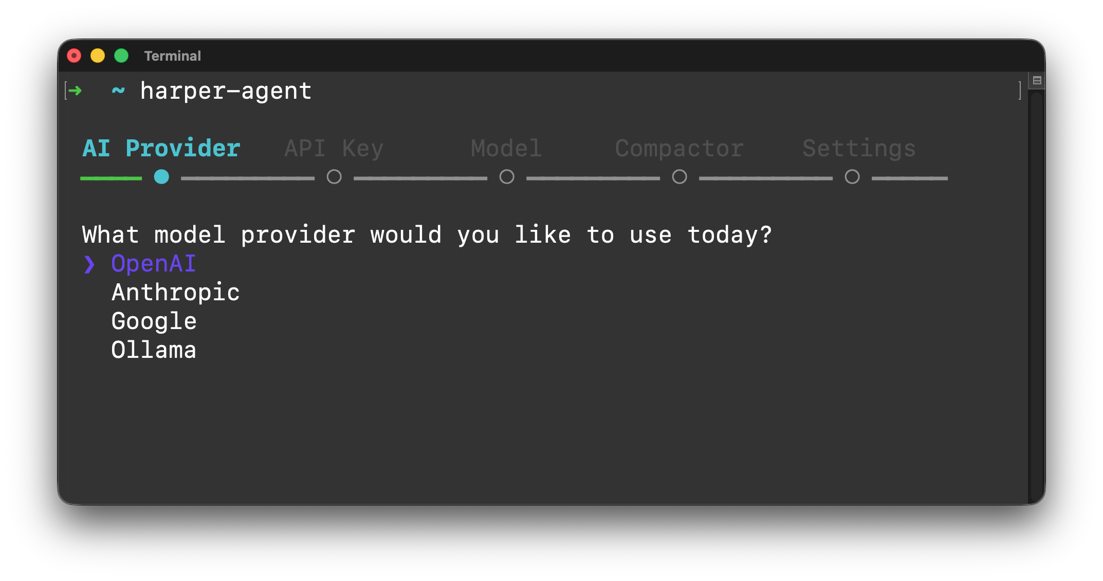 What model provider would you like to use today? OpenAI, Anthropic, Google or Ollama