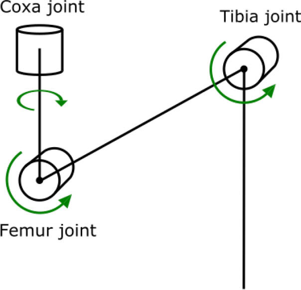 Hexapod Joint Diagram