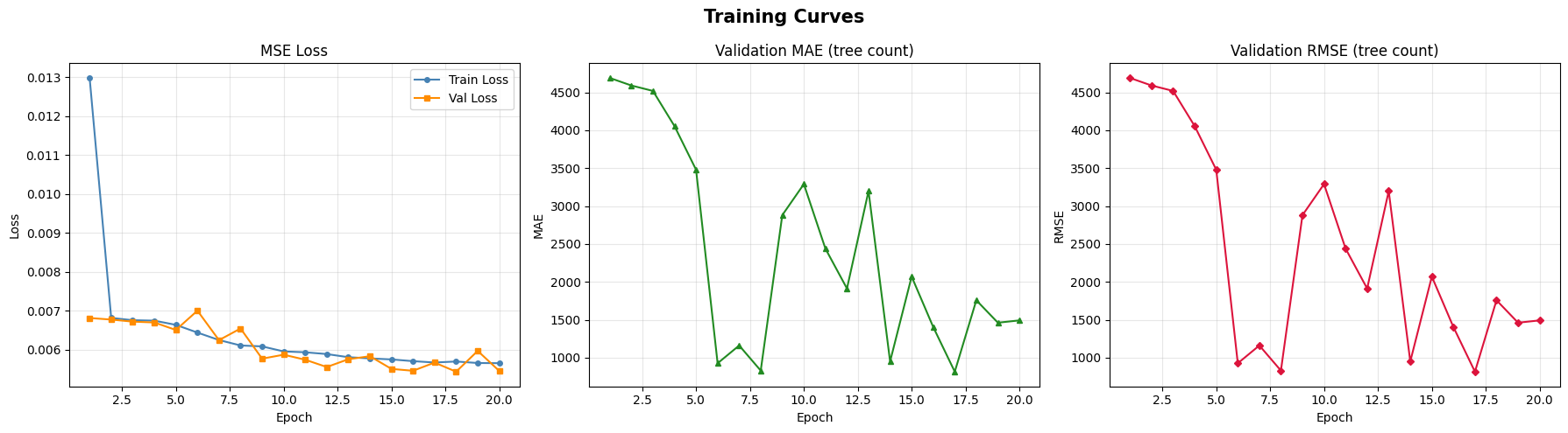 Training Curves